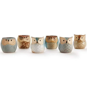 6-Pack: 2.5 Inch Owl Pot Ceramic Base