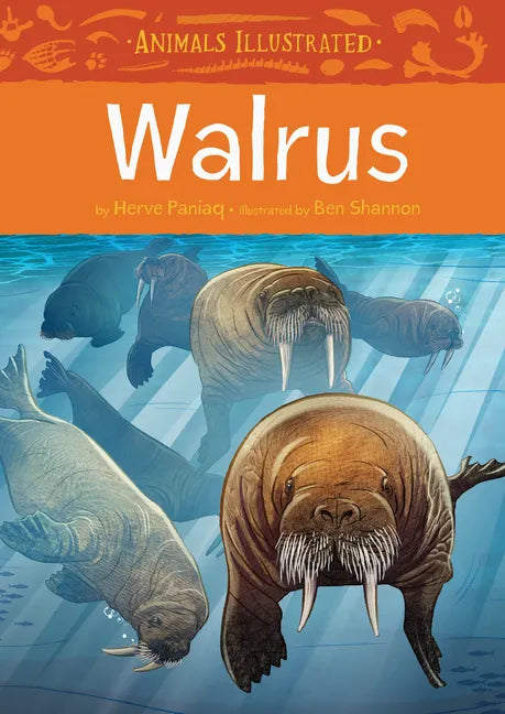 Animals Illustrated: Walrus - Hardcover