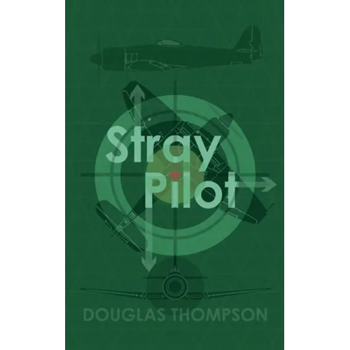 Stray Pilot - Paperback