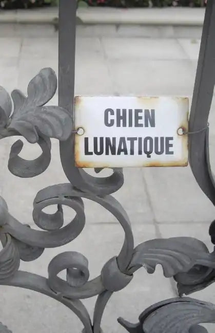 Chien Lunatique: Poems - Paperback