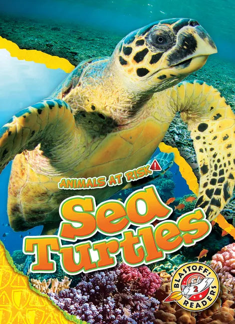 Sea Turtles - Library Binding