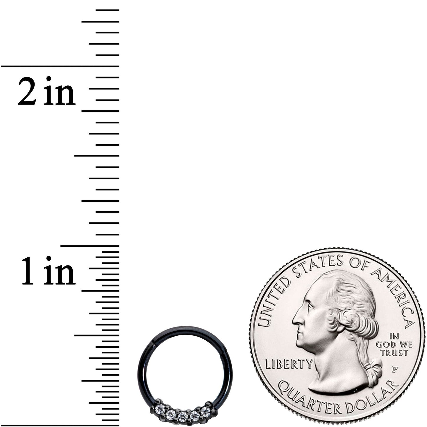 16G 3/8 Clear CZ Gem Black Hinged Segment Ring