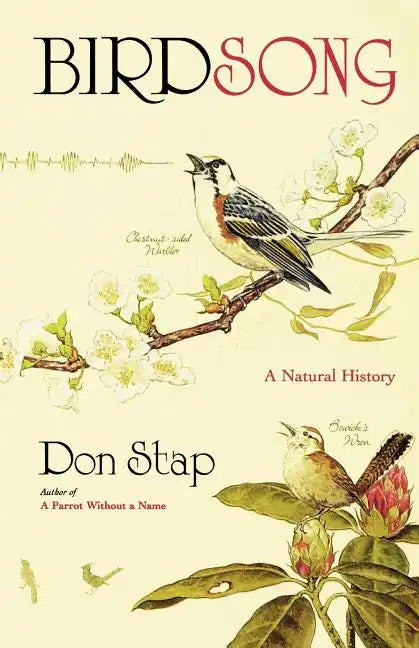 Birdsong - Paperback