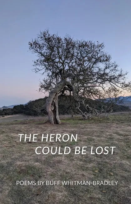 The Heron Could be Lost - Paperback
