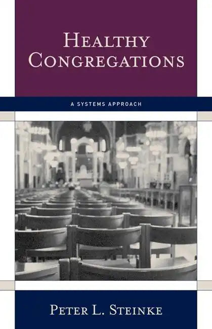 Healthy Congregations: A Systems Approach - Paperback