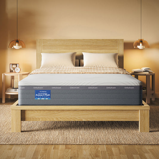 Avenue II Plush