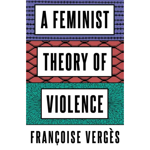 A Feminist Theory of Violence: A Decolonial Perspective - Hardcover