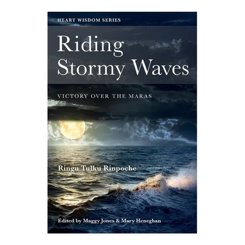 Riding Stormy Waves: Victory over the Maras - Paperback