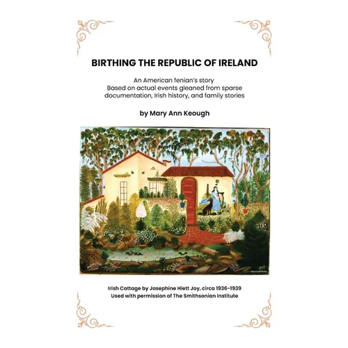 Birthing The Republic Of Ireland: An American Fenian Story - Hardcover