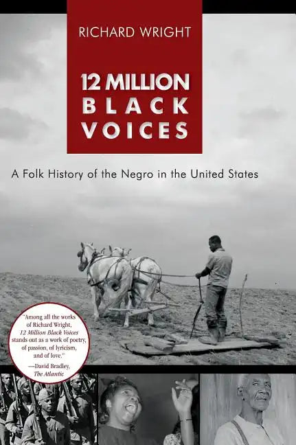 12 Million Black Voices - Hardcover