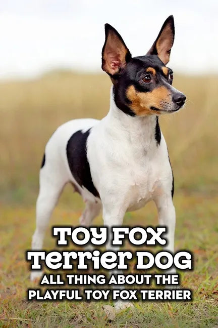 Toy Fox Terrier Dog: All Thing about The Playful Toy Fox Terrier: Toy Fox Terrier Dog Breed Complete Guide - Paperback