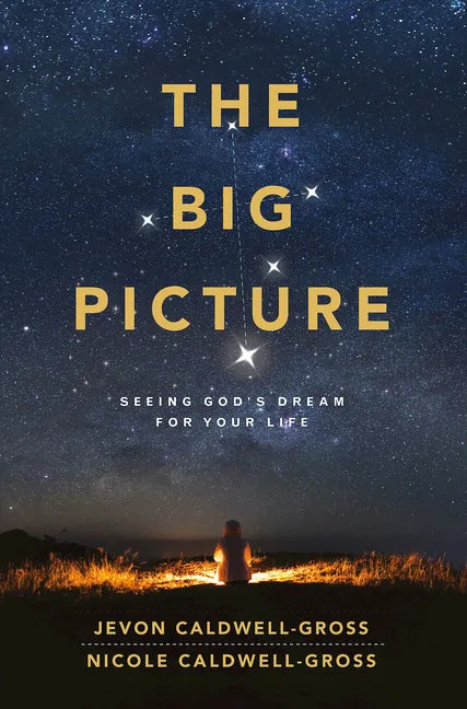 The Big Picture: Seeing God's Dream for Your Life - Paperback