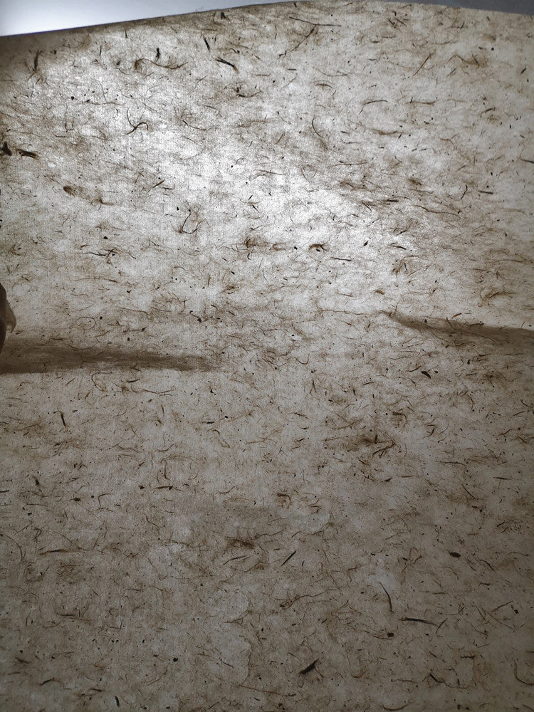 Ancient Handmade Calligraphy Half-cooked Parchment Paper