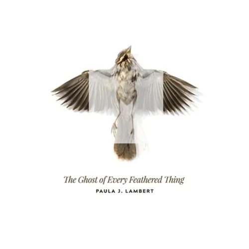 The Ghost of Every Feathered Thing - Paperback