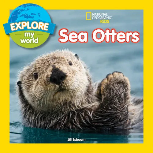 Explore My World: Sea Otters - Paperback