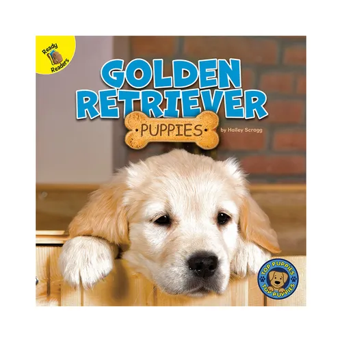 Golden Retriever Puppies - Paperback