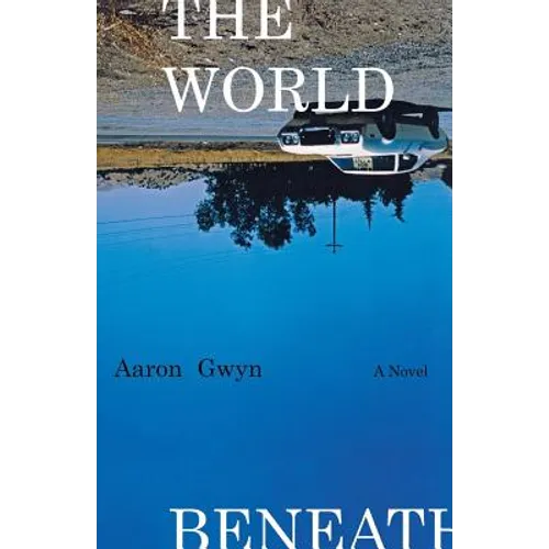 The World Beneath - Paperback