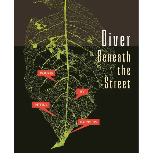 Diver Beneath the Street - Paperback