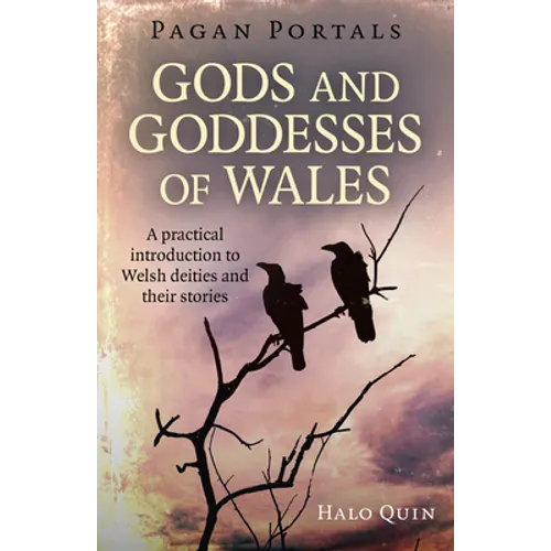 Pagan Portals - Gods and Goddesses of Wales: A Practical Introduction to Welsh Deities and Their Stories - Paperback