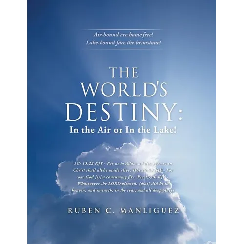 The World's Destiny: In the Air or in the Lake! - Paperback