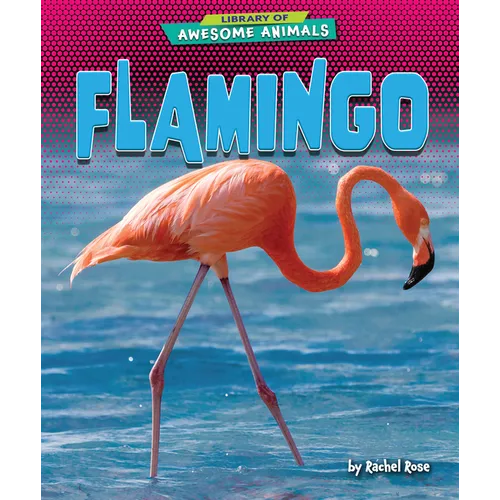 Flamingo - Library Binding