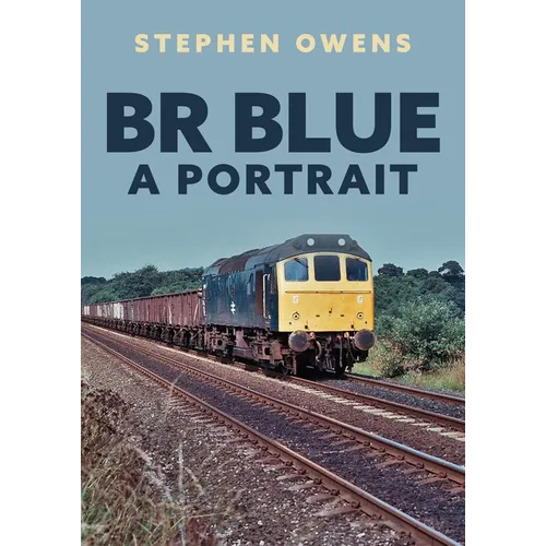 Br Blue: A Portrait - Paperback
