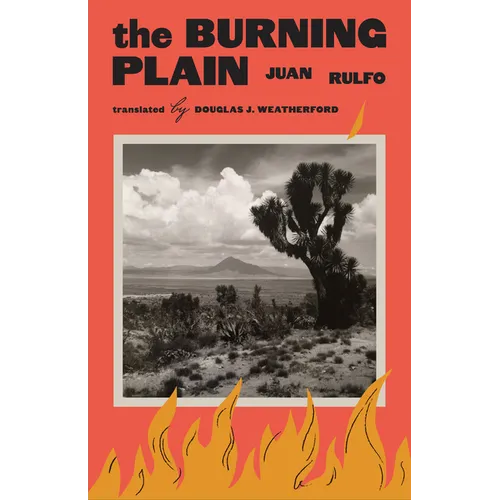 The Burning Plain - Paperback
