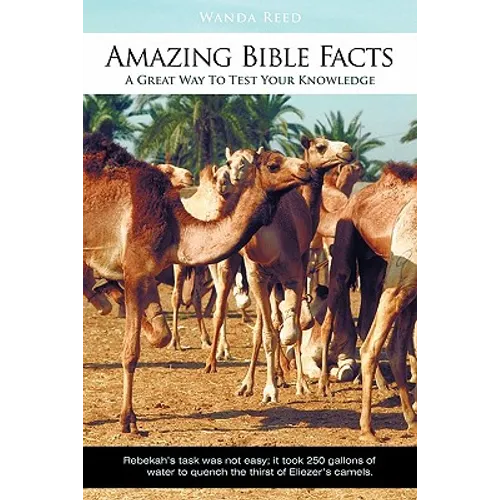 Amazing Bible Facts: A Great Way to Test Your Knowledge - Paperback