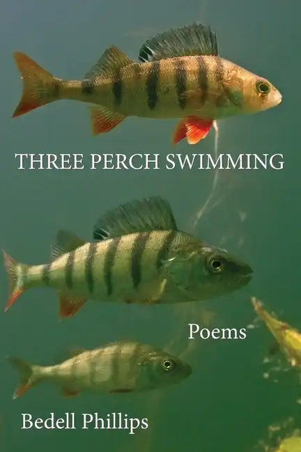 Three Perch Swimming - Paperback