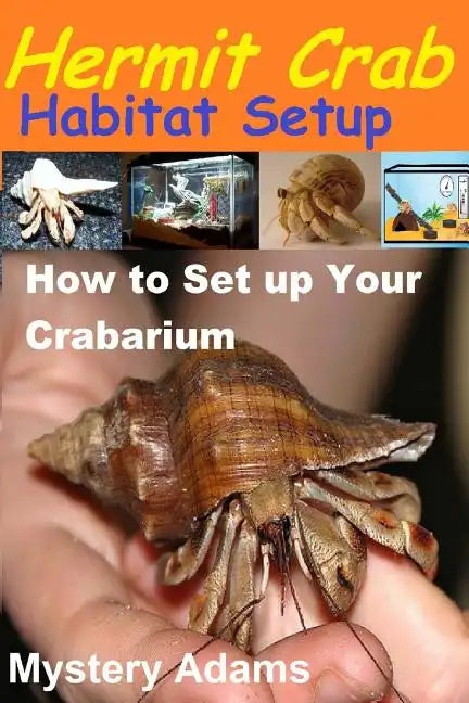 Hermit Crab Habitat Setup: Hermit Crab care and Habitat Set-up - Paperback