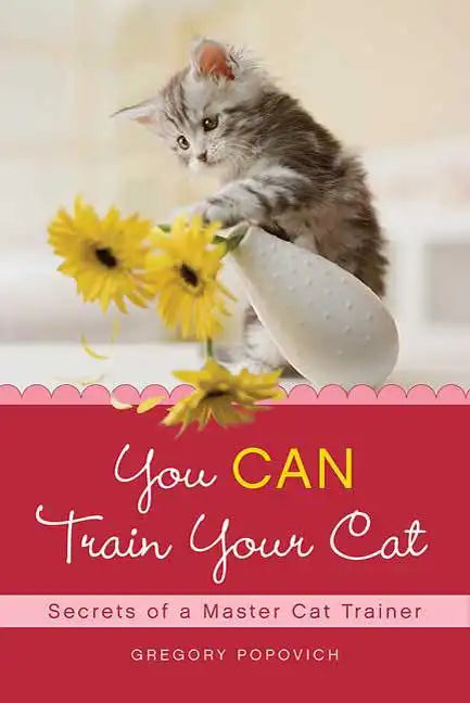 You CAN Train Your Cat - Paperback