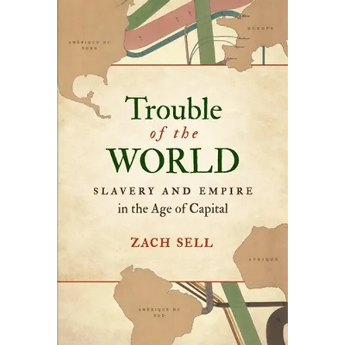 Trouble of the World: Slavery and Empire in the Age of Capital - Paperback