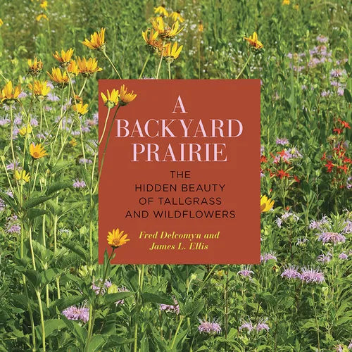 A Backyard Prairie: The Hidden Beauty of Tallgrass and Wildflowers - Paperback