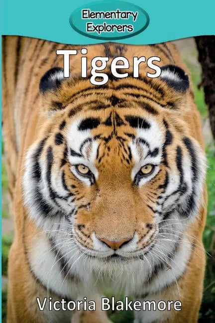 Tigers - Paperback