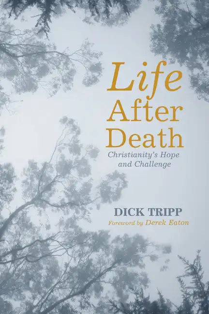 Life After Death: Christianity's Hope and Challenge - Paperback