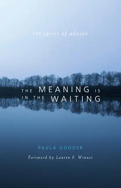 Meaning Is in the Waiting: The Spirit of Advent - Paperback