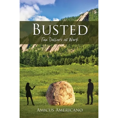 Busted (Tax Dollars at Work) - Paperback