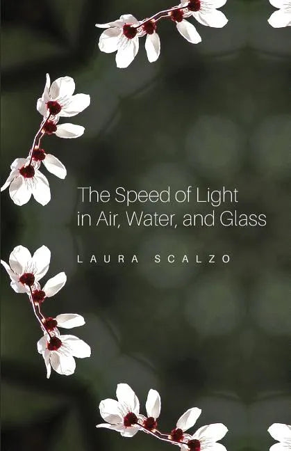The Speed of Light in Air, Water, and Glass - Paperback