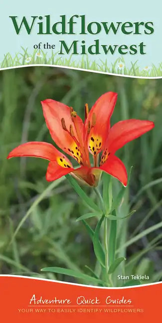 Wildflowers of the Midwest: Your Way to Easily Identify Wildflowers - Spiral