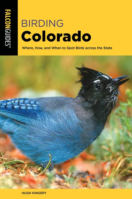Birding Colorado - Paperback