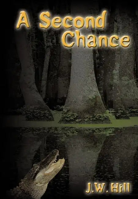 A Second Chance - Hardcover