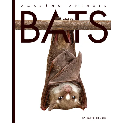 Bats - Library Binding