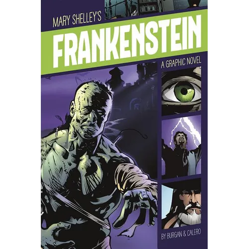 Frankenstein: A Graphic Novel - Paperback