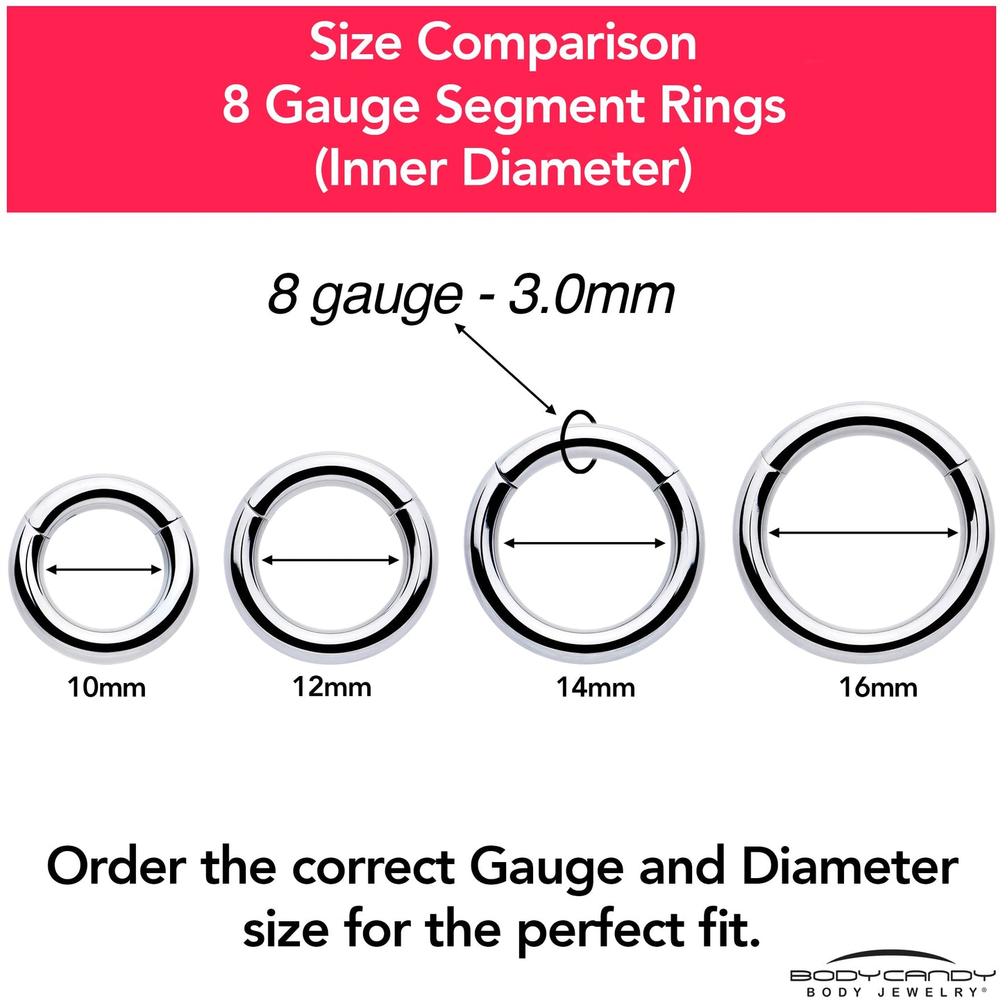 8G 3/8 316L Surgical Steel Precision Hinged Segment Hoop