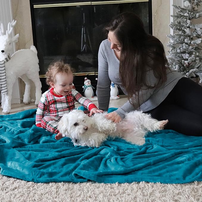 Bedsure Fleece Throw Blanket Teal - 300GSM Blankets for Couch, Sofa, Bed, Soft Lightweight Plush Cozy Throws for Toddlers, 50x60 inches