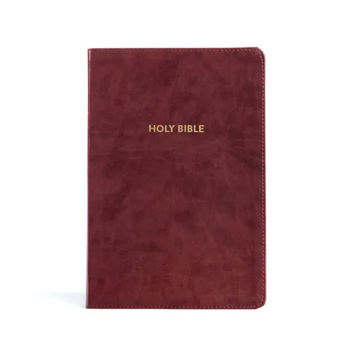 KJV Rainbow Study Bible, Burgundy Leathertouch - Imitation Leather