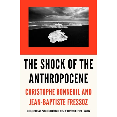The Shock of the Anthropocene: The Earth, History and Us - Paperback