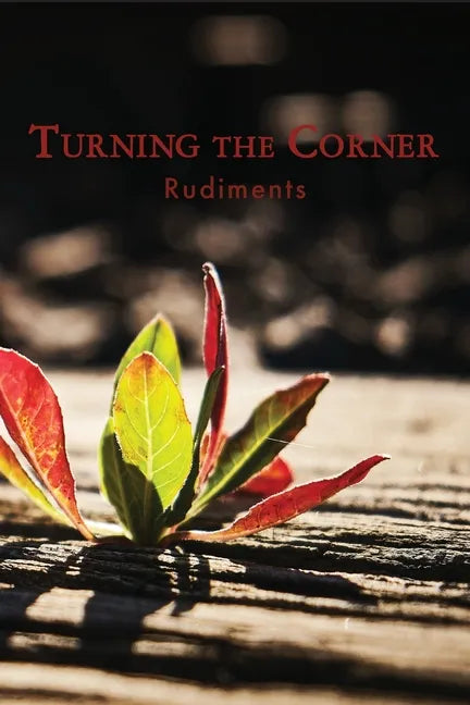 Turning the Corner: Rudiments - Paperback