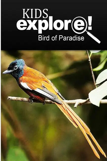 Birds Of Paradise - Kids Explore: Animal books nonfiction - books ages 5-6 - Paperback