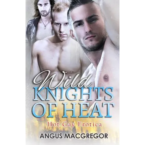 Wild Knights of Heat: Hot Gay Erotica - Paperback